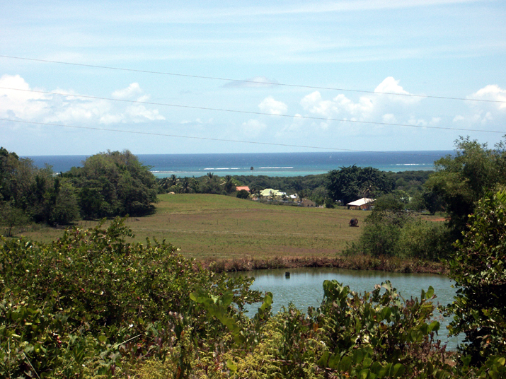 28 - Jardin des eaux 046.jpg - DCF 1.0